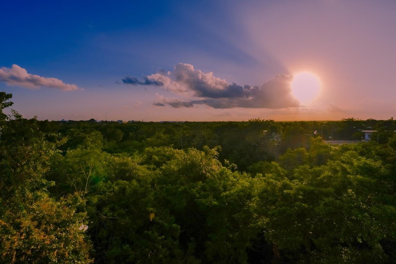 Condo Casa Del Arbol Playa del Carmen Ngoại thất bức ảnh